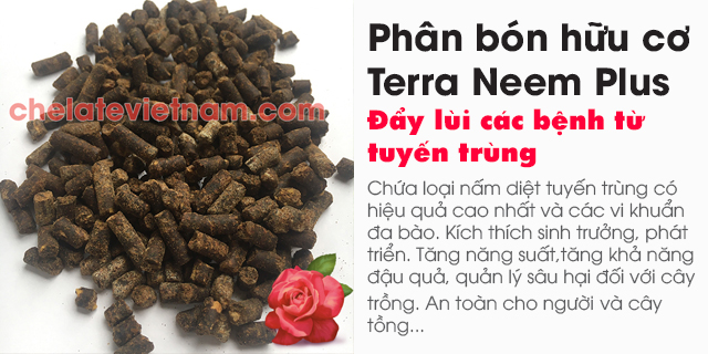 Phân bón hữu cơ Terra Neem Plus - Đẩy lùi các bệnh từ tuyến trùng